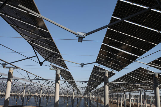 Grand Perspective of Floating PV Power Station with Concrete Pile Arrays Bearing Solar Panels