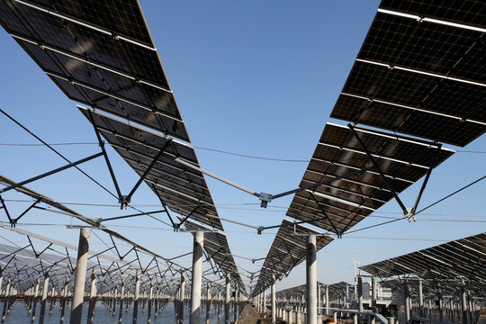 Grand Perspective of Floating PV Power Station with Concrete Pile Arrays Bearing Solar Panels