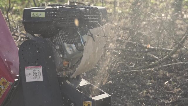Spring. Wood chipper in the garden, chopping branches resulting from tree cleaning