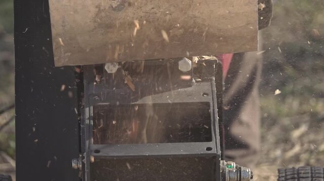 Spring. Wood chipper in the garden, chopping branches resulting from tree cleaning