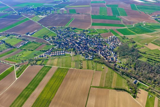 Aerial view of a vibrant village nestled amidst a patchwork of diverse green and brown agricultural fields, with a dark forest edge and winding roads, Wintzenheim-Kochersberg, Grand Est, France.