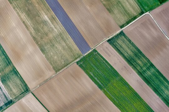 Aerial view of a mosaic of contrasting tilled earth, vibrant green crops, and dark solar panels bisected by narrow dirt paths, Wintzenheim-Kochersberg, Grand Est, France.