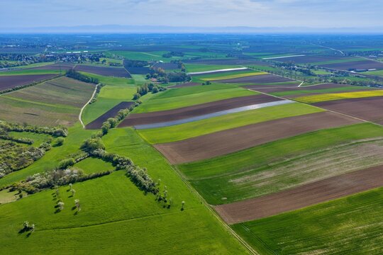 Aerial view of a vibrant patchwork of verdant green and rich brown agricultural fields, crisscrossed by winding tree lines under a bright sky, Wintzenheim-Kochersberg, Grand Est, France.