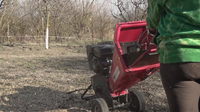 Middle-aged woman in the garden in spring, chopping branches with a wood chipper