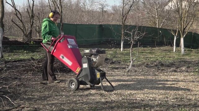 Middle-aged woman in the garden in spring, chopping branches with a wood chipper