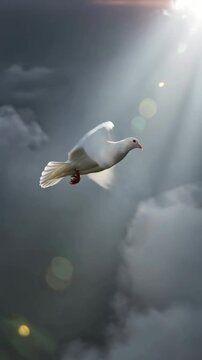 White dove flying through clouds toward divine light from heaven, vertical footage