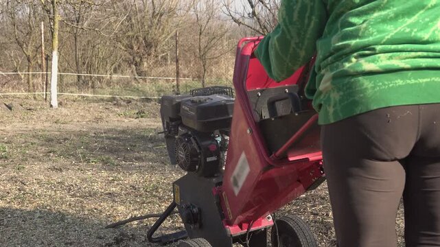 Middle-aged woman in the garden in spring, chopping branches with a wood chipper