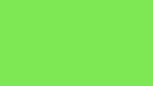 Five star rating bar animation, customer review score indicator showing feedback evaluation quality ranking and satisfaction concept, isolated with white background and green screen chroma key