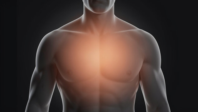 A computer-generated image of a male human torso with the heart highlighted in bright light, emphasizing its importance.