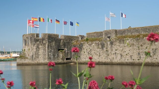 Static shot on sunny clear blue sky day, multiple European flags fly over medieval walled city of Concarneau, Brittany, with pink flowers in foreground.