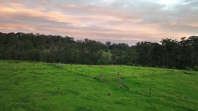 Aerial drone shot of a lush green pastoral paddock at dusk in Bundanoon, Southern Highlands, New South Wales, Australia. Soft pink and peach sky glows above the dark treeline on the horizon.