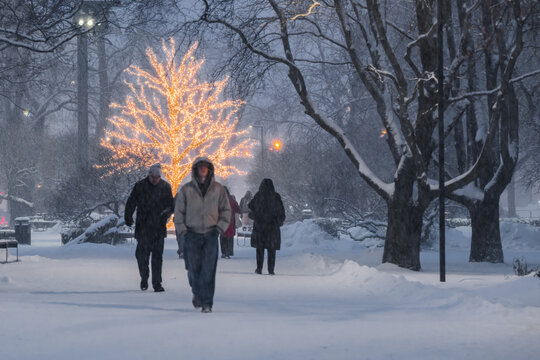 Tallinn, Estonia - 03 January 2025: View of people braving the snow-laden park, illuminated by the warm glow of a decorative tree near the Freedom Square.