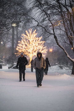 Tallinn, Estonia - 03 January 2025: View of a magical winter evening, where a warmly glowing tree illuminates a snow-covered path as bundled figures walk.
