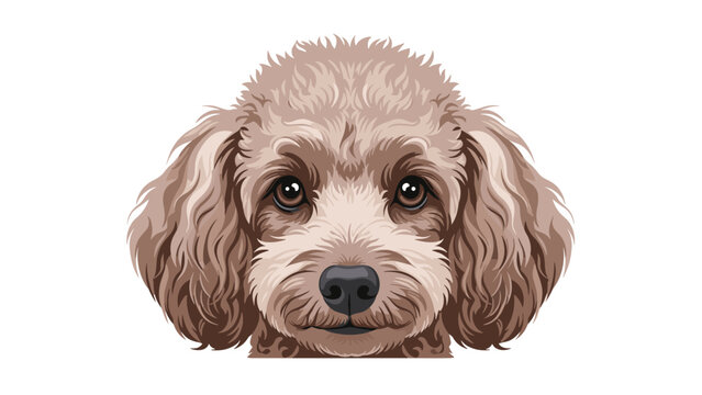 Detailed vector portrait of a fluffy poodle or labradoodle head with curly brown fur and expressive dark eyes.