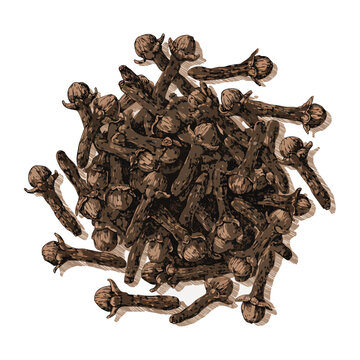 Premium Whole Cloves Isolated on White Background.