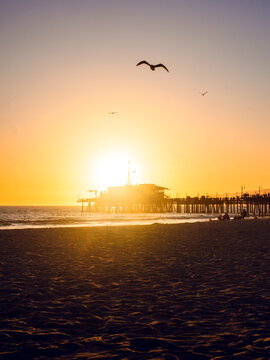 Los Angeles, United States - 27 March 2024: View of Santa Monica Pier in stark silhouette against a fiery orange sunset, a lone seagull gliding over the dark, textured sand.