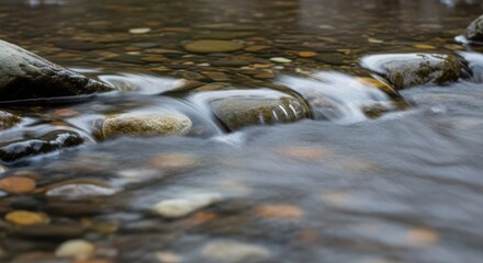 Obraz premium Gentle water flowing over smooth, wet pebbles in a shallow stream creating a soothing natural scene