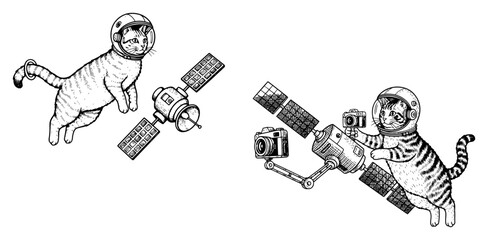 Astronaut cats floating in space with satellites and camera in detailed engraving style © Wera