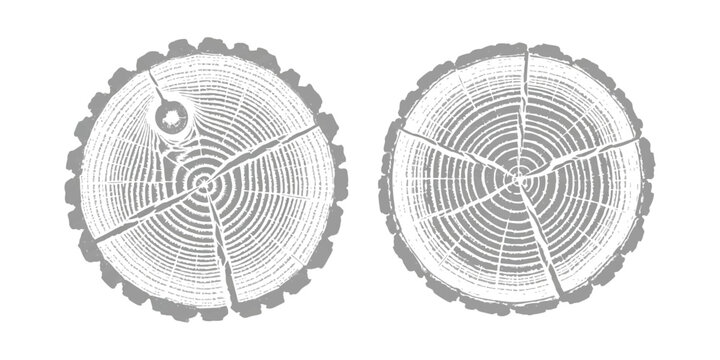 Two detailed tree stump cross section icons showing growth rings and cracks
