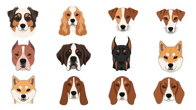 Comprehensive grid of twelve different dog breed heads showcasing a wide variety of shapes sizes and facial features for a veterinary chart.