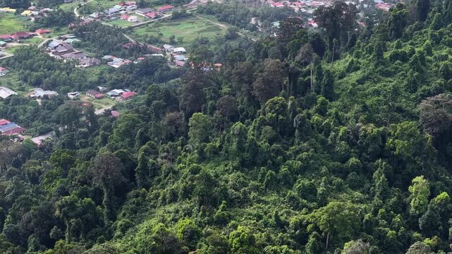 Aerial footage showing Kampung Sungai Semilang Juru adjacent to dense tropical forest and residential area.