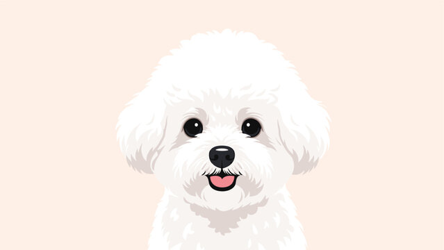 Sweet close-up portrait of a white fluffy bichon frise dog with dark eyes and a pink tongue showing in a soft smile for a grooming brochure.