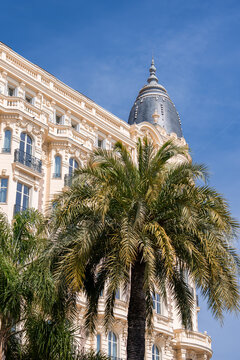 Ornate Belle Epoque facade in Cannes, France rises behind swaying palms, its dark conical dome and sculpted balconies seen from a low angle under crisp skies.