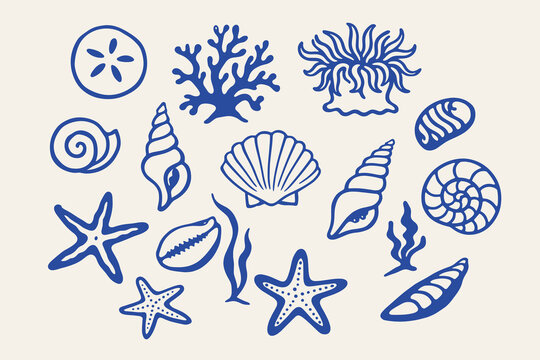 Sea shell doodle vector illustration set with starfish coral sand dollar and hand drawn ocean elements