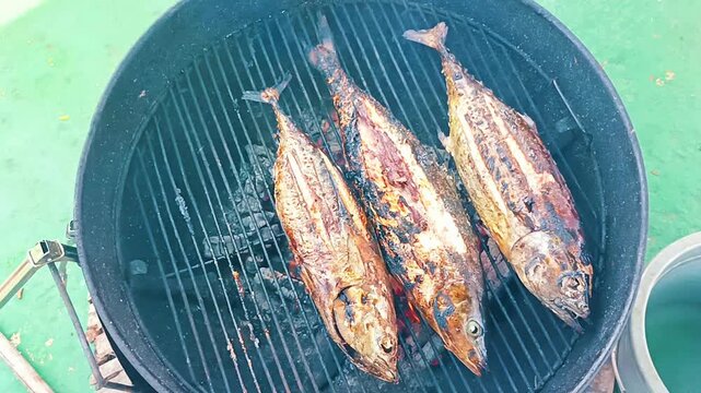 Close-up of Delicious Grilled Baby Tuna Served as a Gourmet Meal with Fresh Spices and Textures