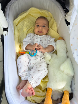 Baby in stroller bassinet with rattle and plush goose Portrait