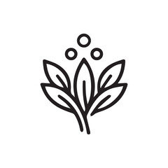Obraz premium Simple line illustration of a plant with elegant leaves and three circular elements