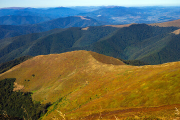 Fototapeta premium Mountain landscape with rolling hills covered in grassy meadows and dense forest under a clear blue sky.