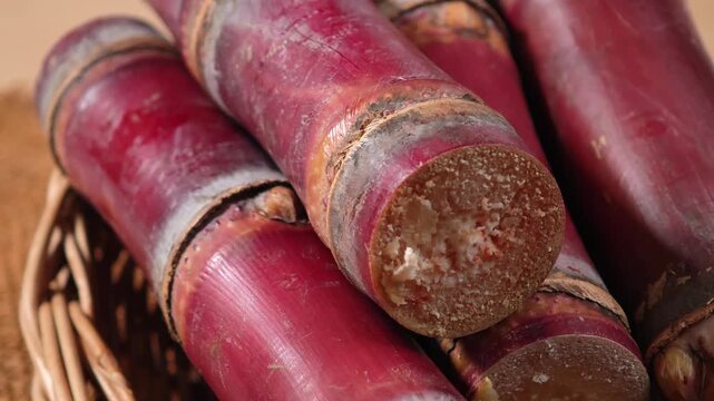 video of close-up of fresh sugarcane.	