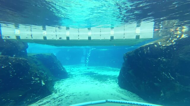 Clear water in a deep pool reveals large rocks at the bottom. A floating platform can be seen above, and sunlight shines through the surface, creating patterns in the water.