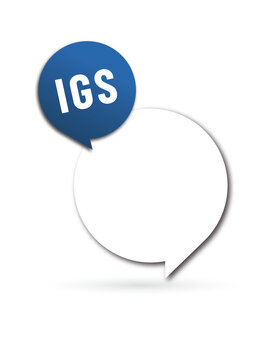 IGS - impot sur les grandes successions - acronyme