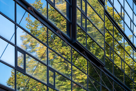 Sustainable scandinavia modern urban architecture captures trees as reflections across a glass facade in daylight emphasizing contemporary design and calm