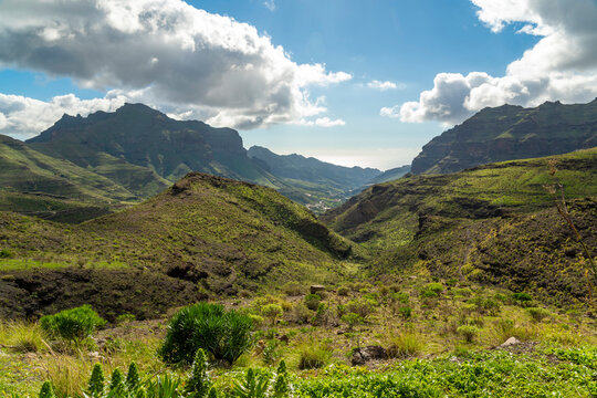 Scenic green mountain valley with ravine in Gran Canaria Spain