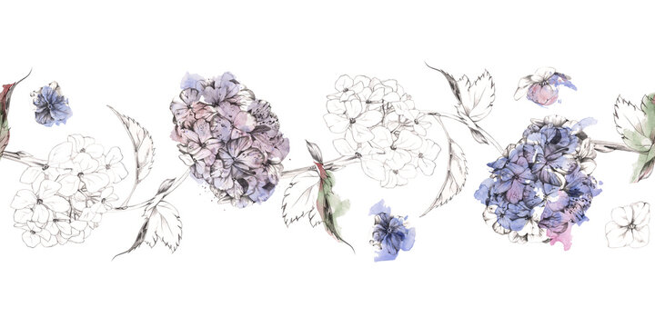 Soft hydrangea, spirea flower, rhododendron blossom cluster hand drawn in pencil with airy watercolor wash and vintage botanical feel. Floral banner for wedding invitation headers, website borders