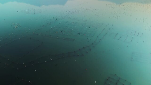 Aquaculture farm presenting an extensive network of submerged cages and nets for cultivating marine species, highlighting the modern methods of sustainable food production and seafood industry