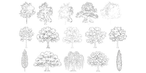 Set of hand drawn sketch tree illustrations for garden and landscape design architecture projects ©  Designer