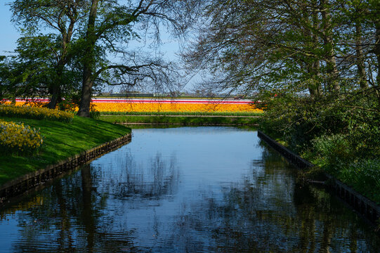 cannel in keukhenhof