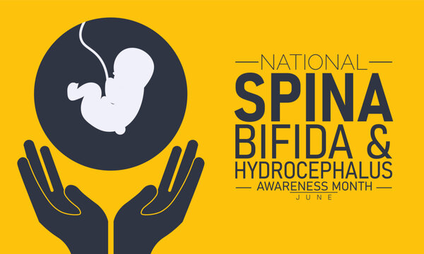 National spina bifida and hydrocephalus awareness month fetus graphic