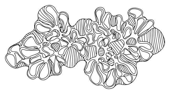 Connected organic clusters with cell structures and linear textures in minimalist line art style