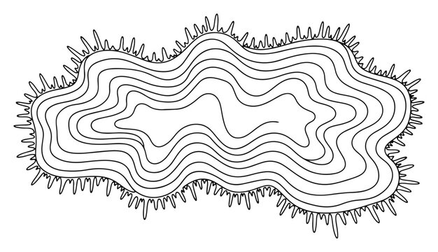 Abstract organic shape with nested contour lines and jagged edges in minimalist linear style