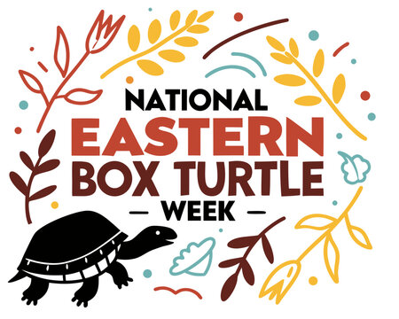 Eastern Box Turtle Week Vector Art, Nature and Reptile Protection Celebration Concept