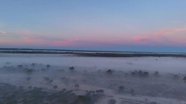 Aerial Misty Morning Landscape Over Rural Fields And Trees, El Rocio, Spain