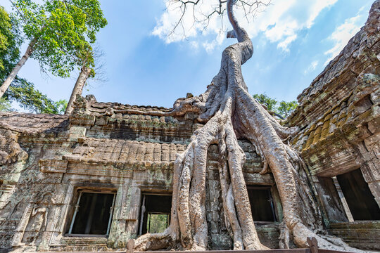 Tomb Raider temple
