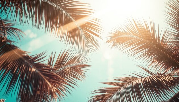 Bright Sun Rays Through Palm Fronds Create an Inviting Tropical Atmosphere for Vacations and Outdoor Activities