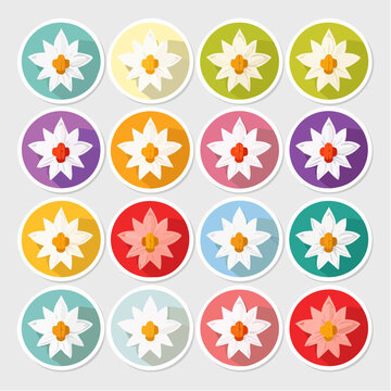 Set of Edelweiss Flower Icons in Various Colors