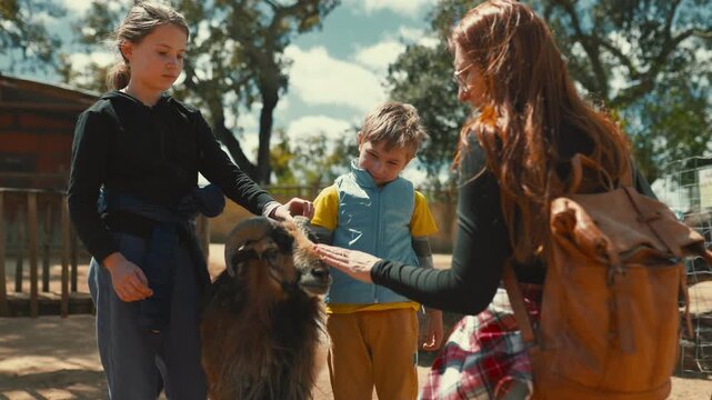 Family petting a friendly ram at the farm petting zoo